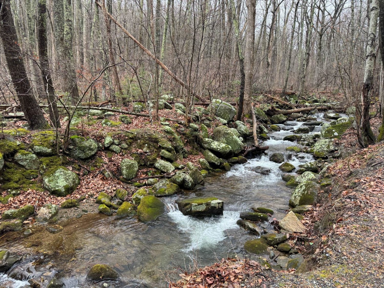 Hunting Creek