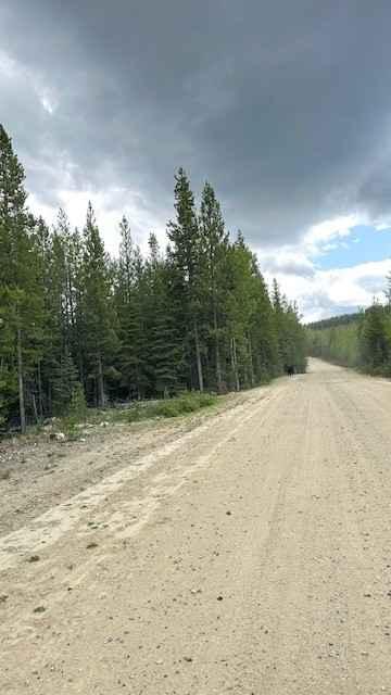 Stirling Creek/Old Joe FSR