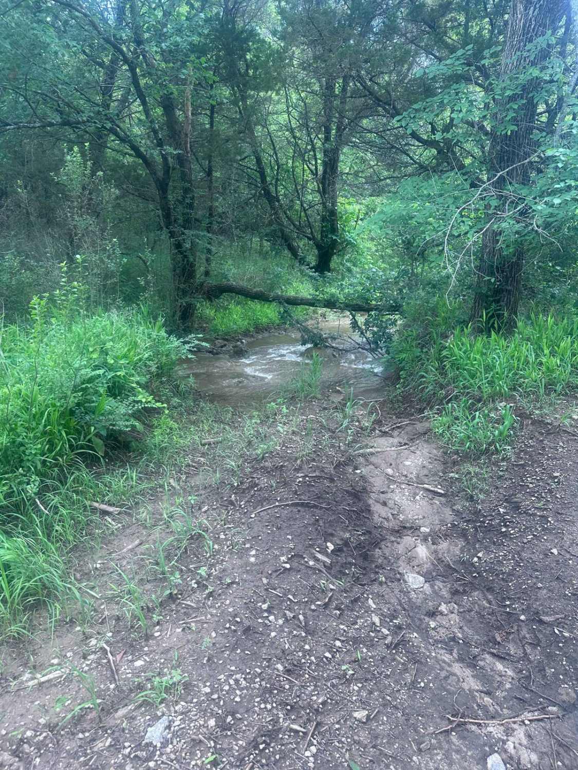Powerline 2nd Segment