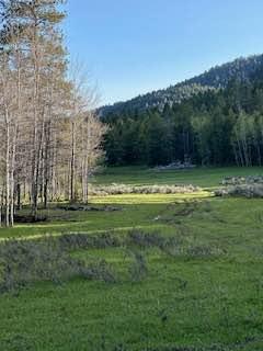Manning Creek