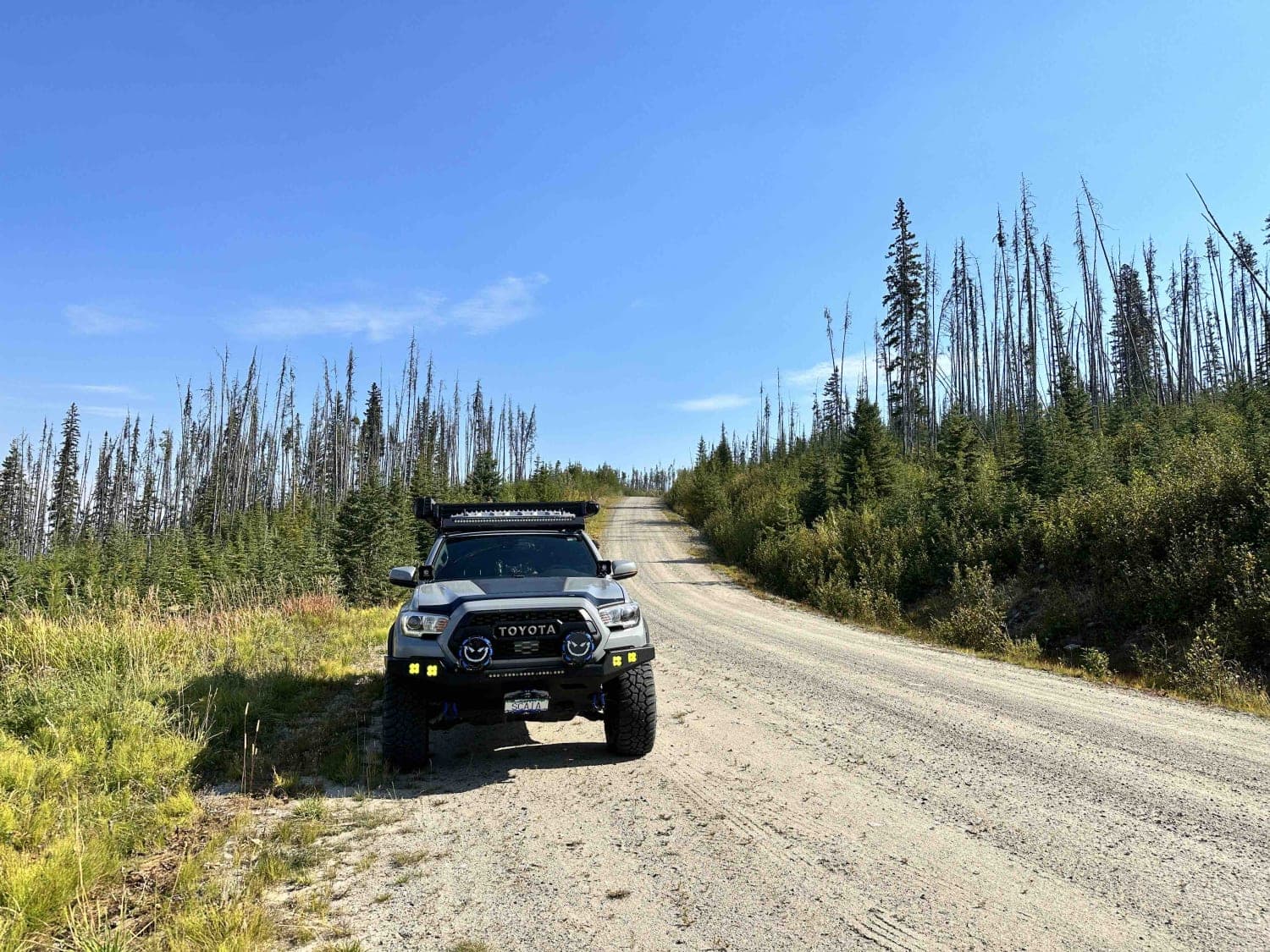 Jamieson Forest Service Road