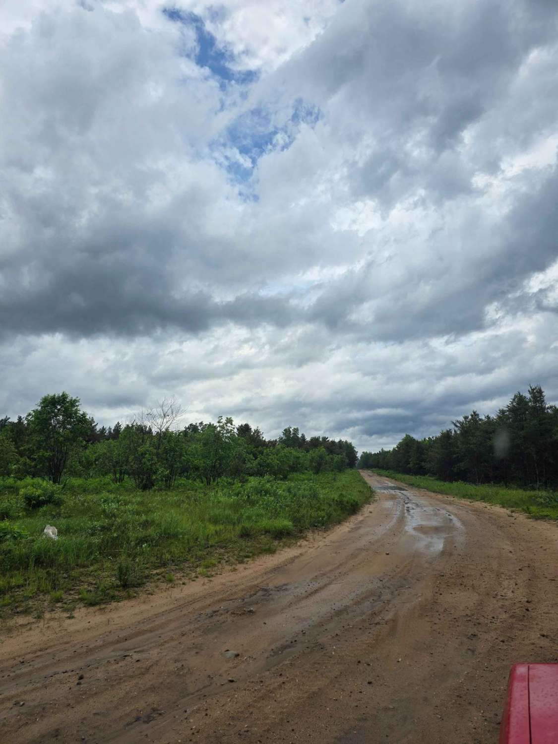 Kinsey Hunt - FS4474/FS4154