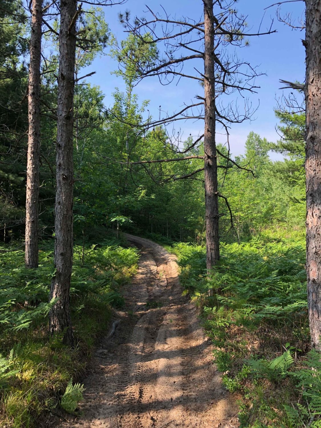 North Missaukee Trail - 14478 & 14167