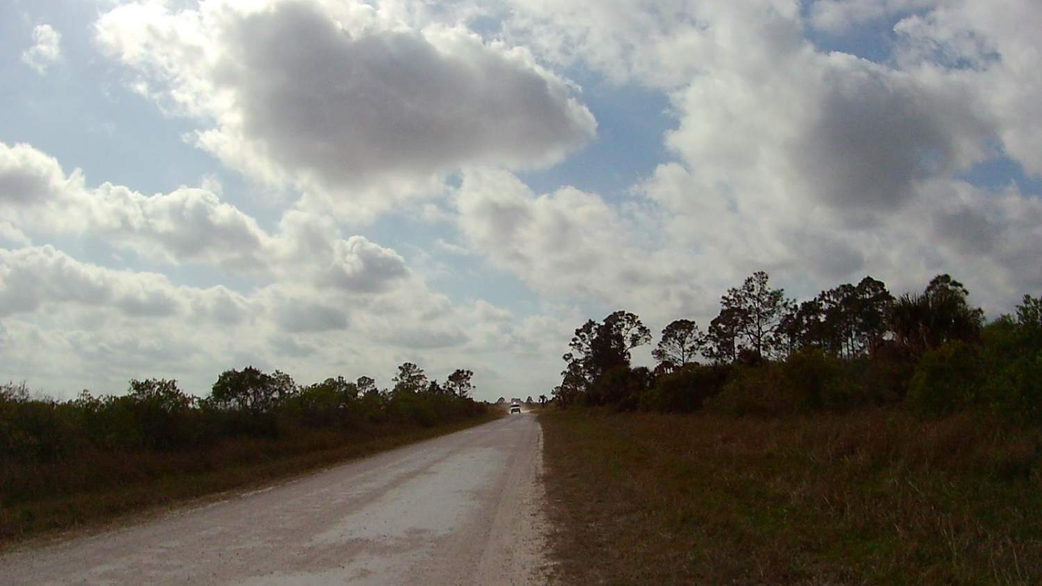 Wildcow Grade