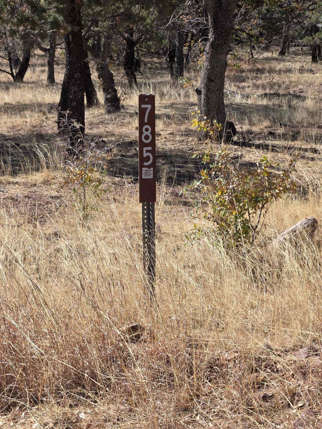 Hog Canyon- BLM 4111