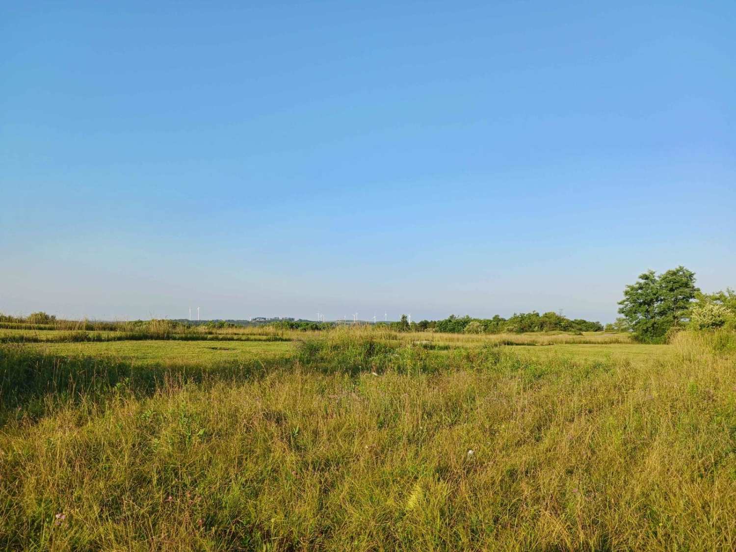 Trail 12G - Rock Run Recreation Area