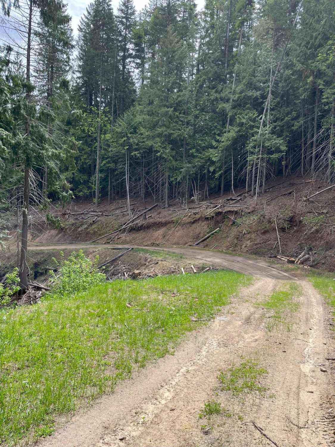 Forest Service Road 3320E East
