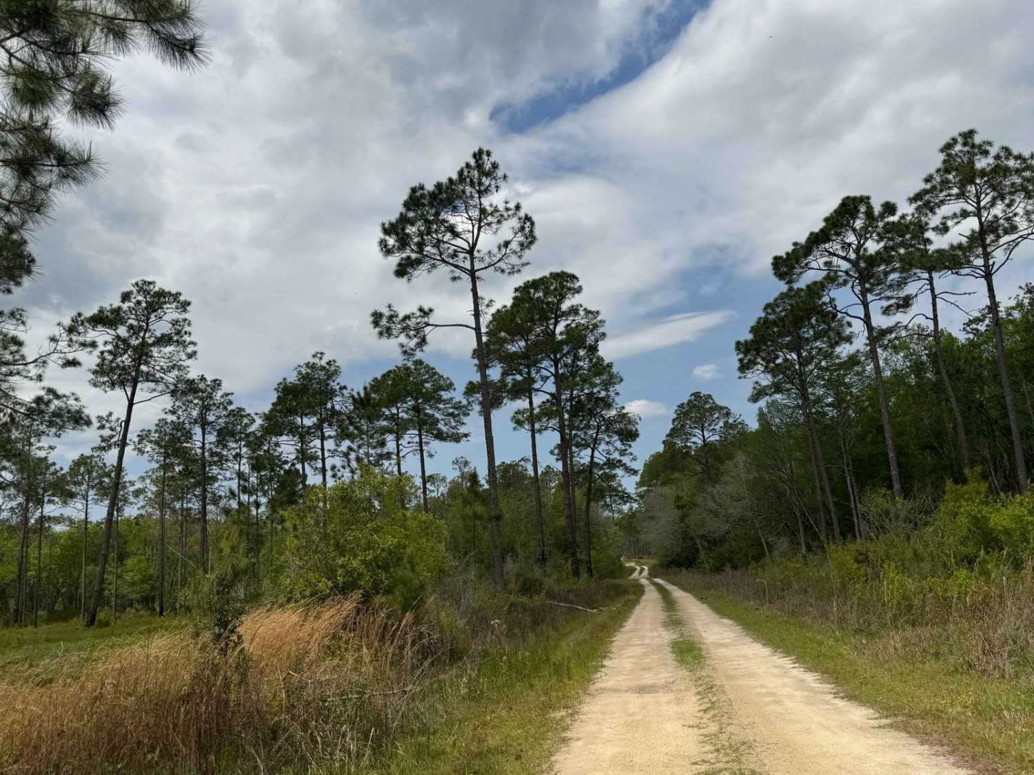 Tates Hell Creek Route