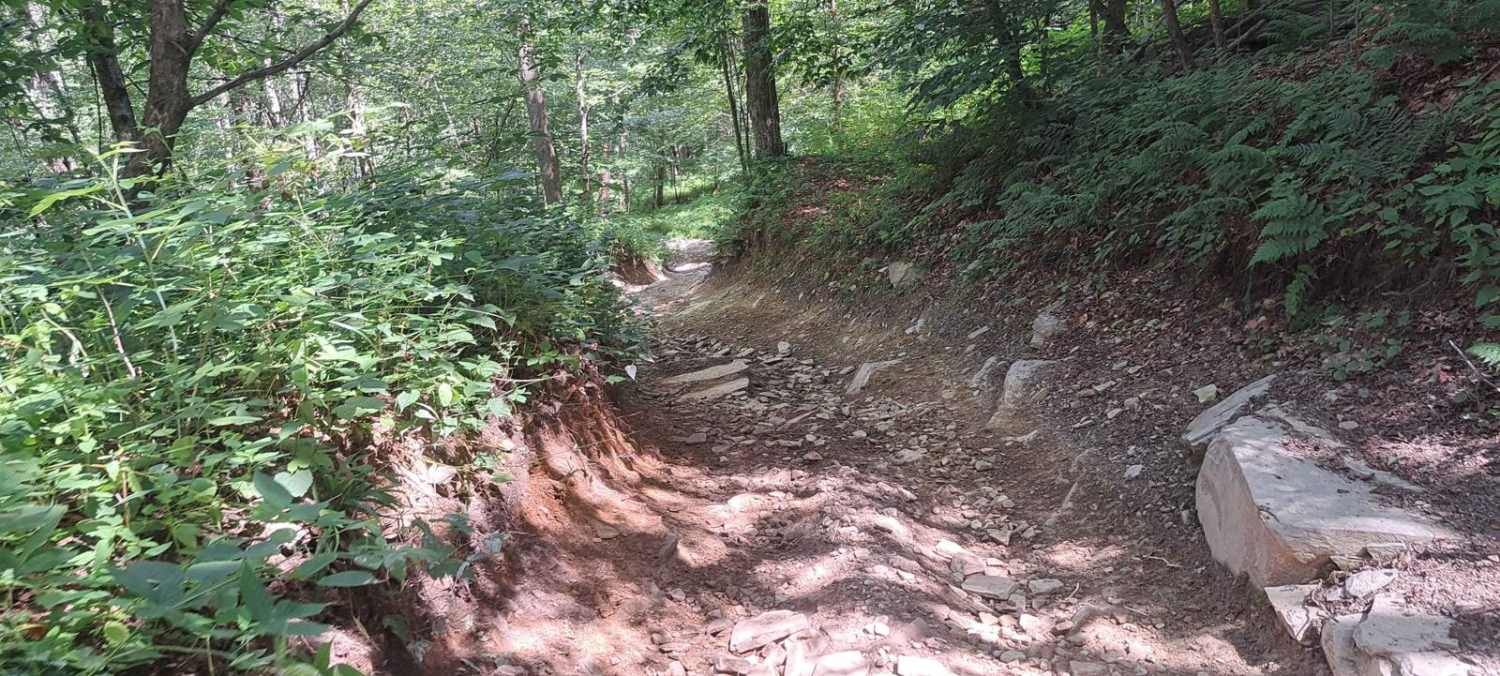 Black Berry Ridge