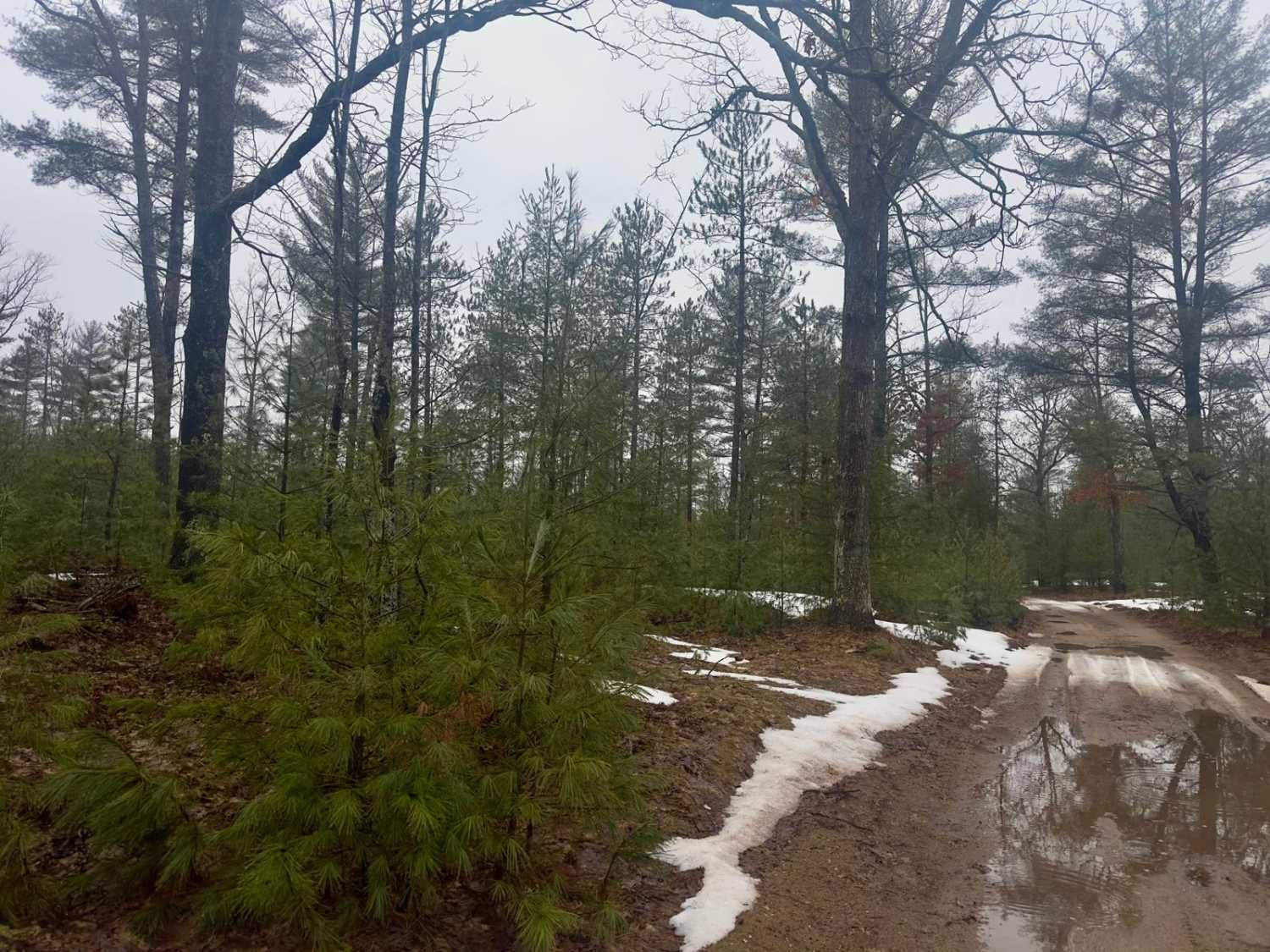 Guernsey Lake Rd NW