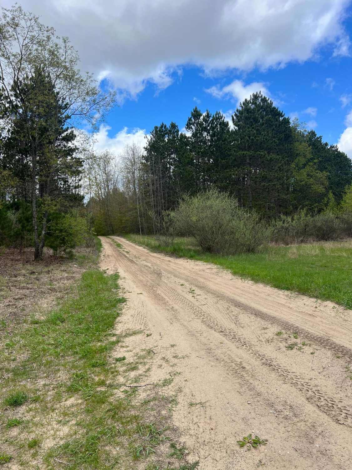 Matchett Trail