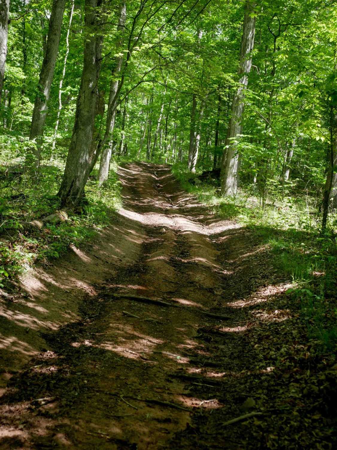Trail 5