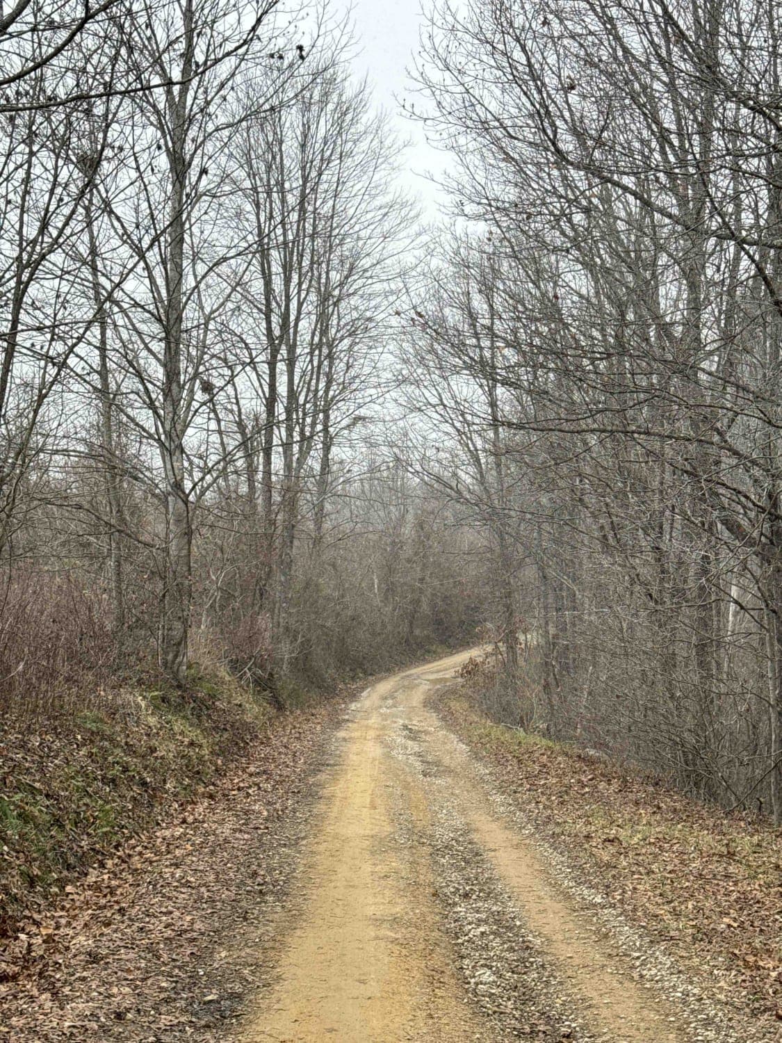 Tussey Hill Road