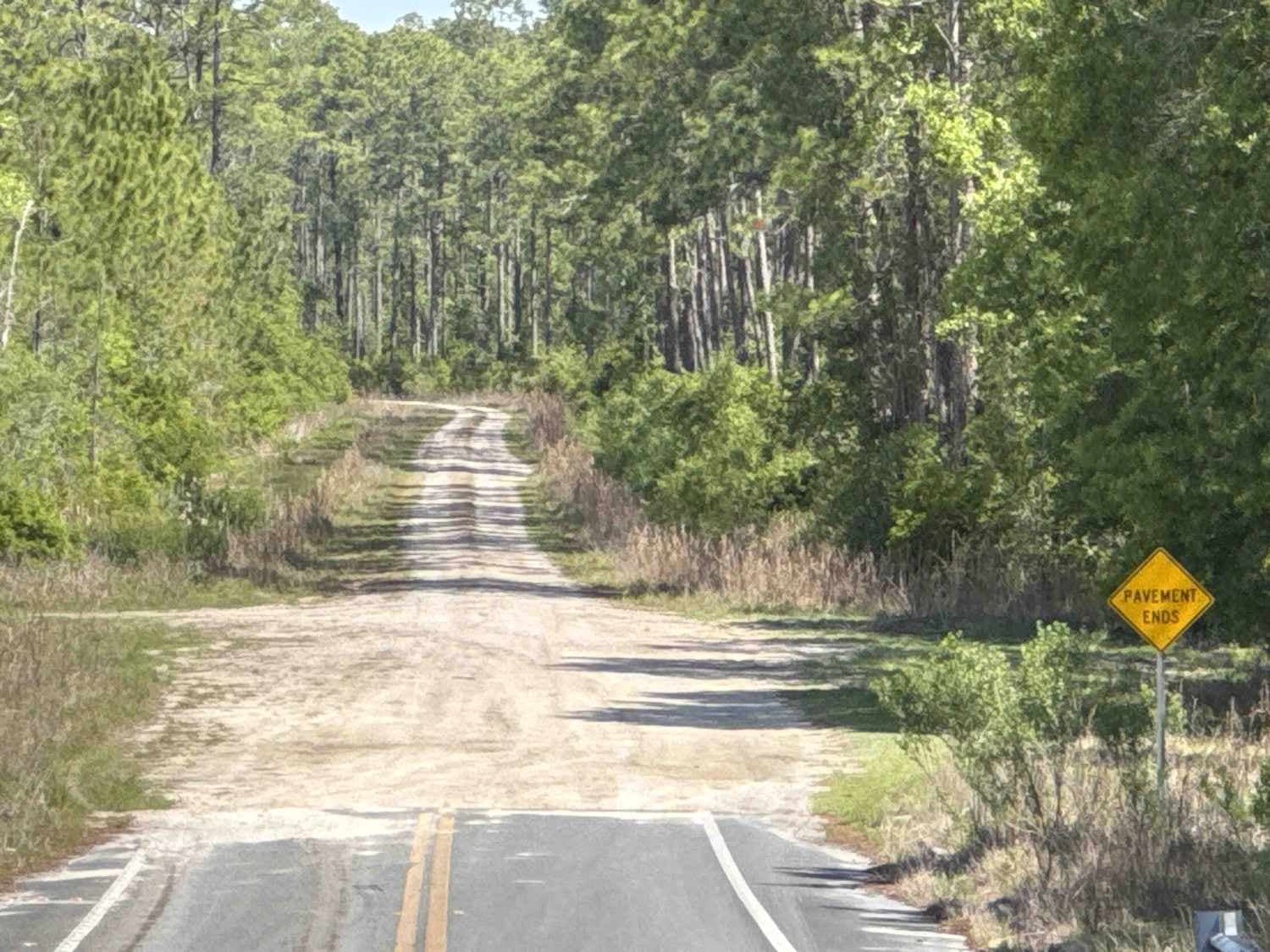 McCloskey-Still - Osceola NF 236