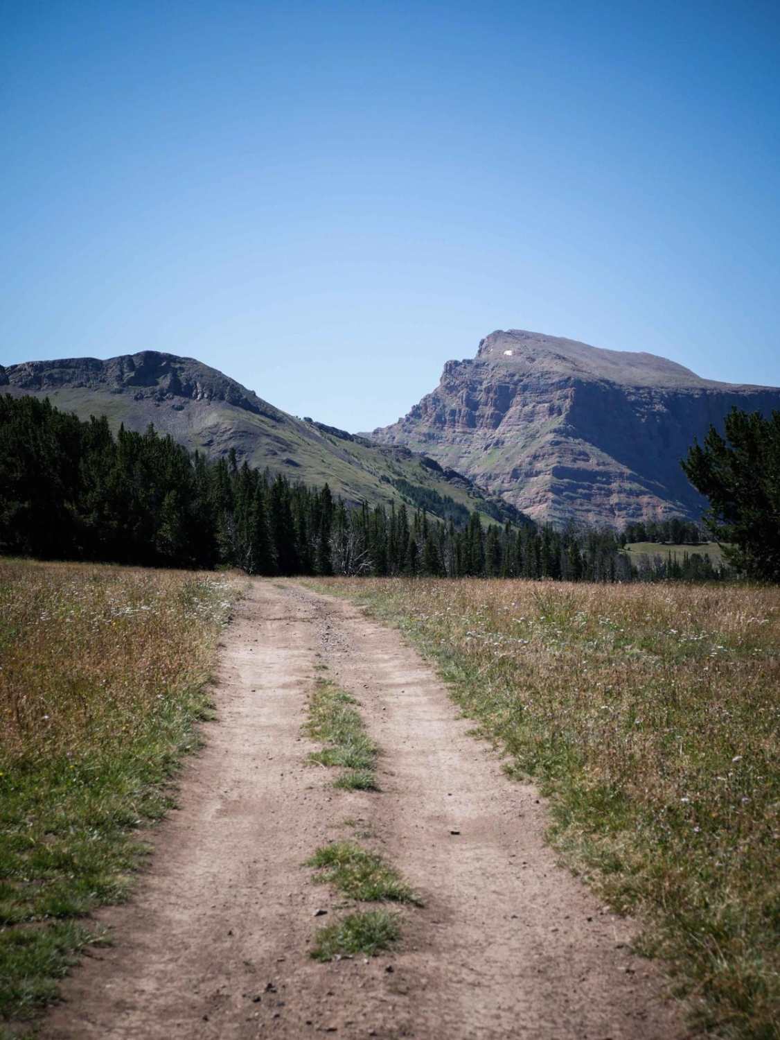 Buck Ridge ATV 
