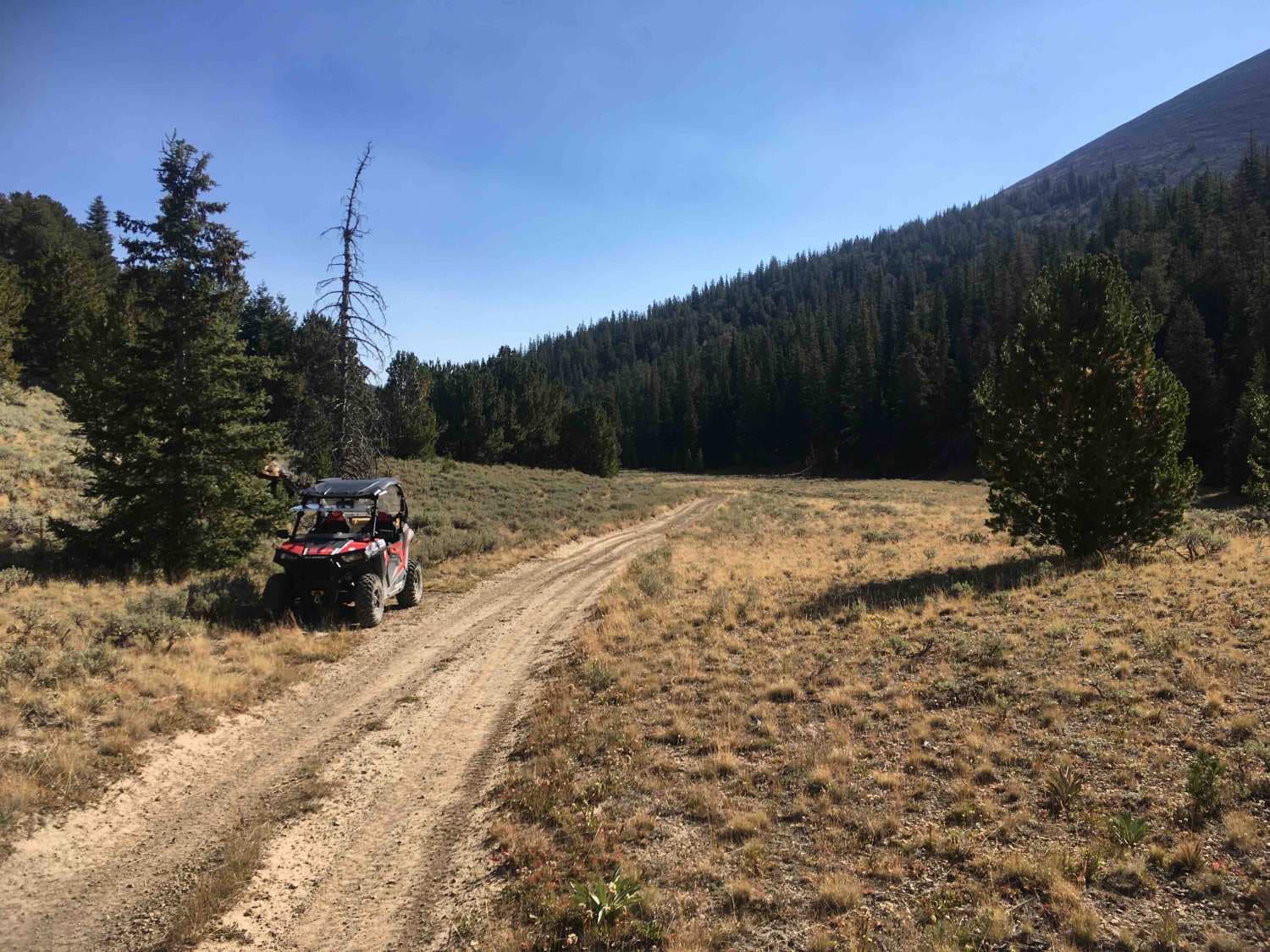 North Creek Trail