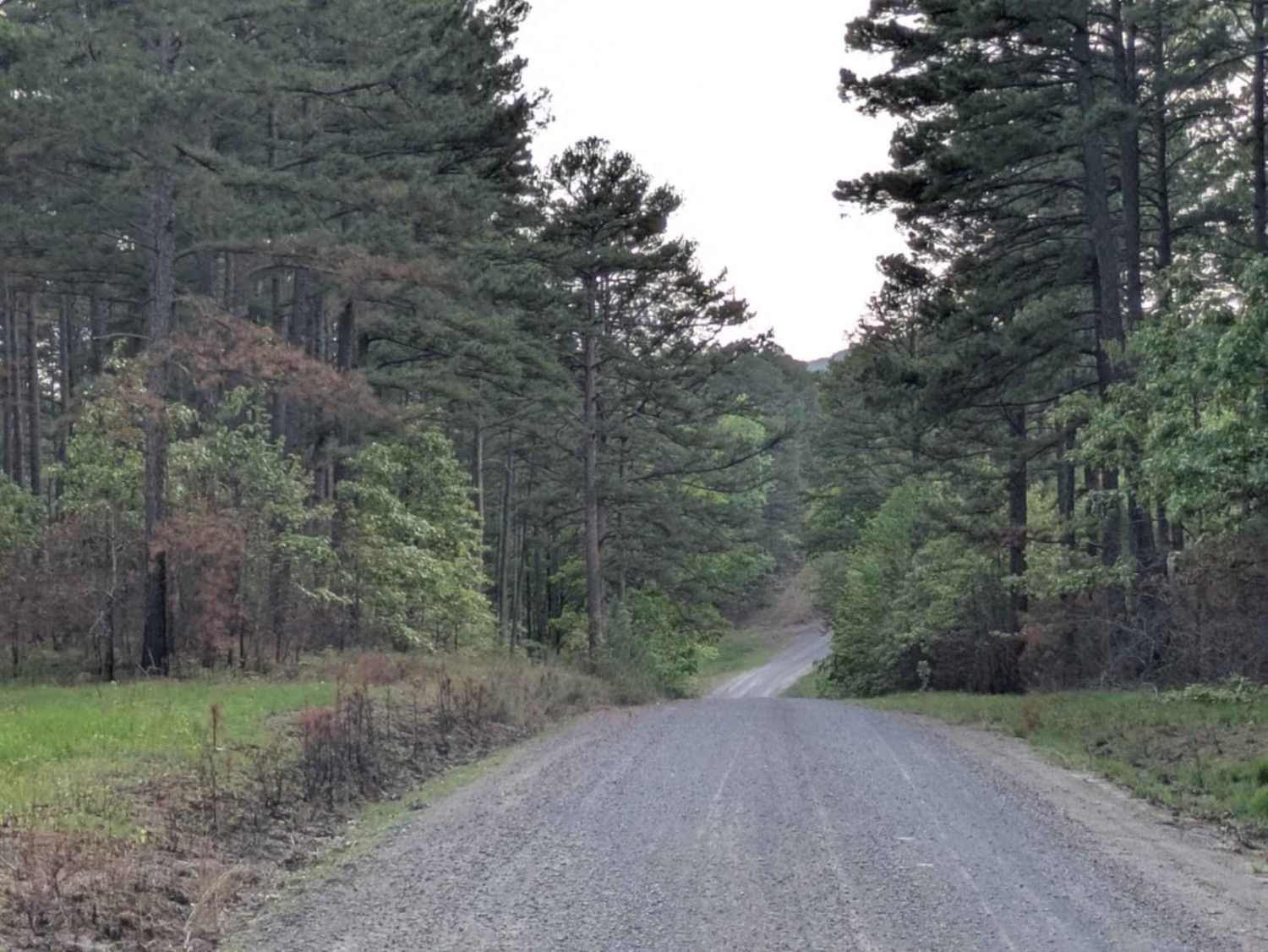 Scott Henderson Gulf Mountain WMA Access Road