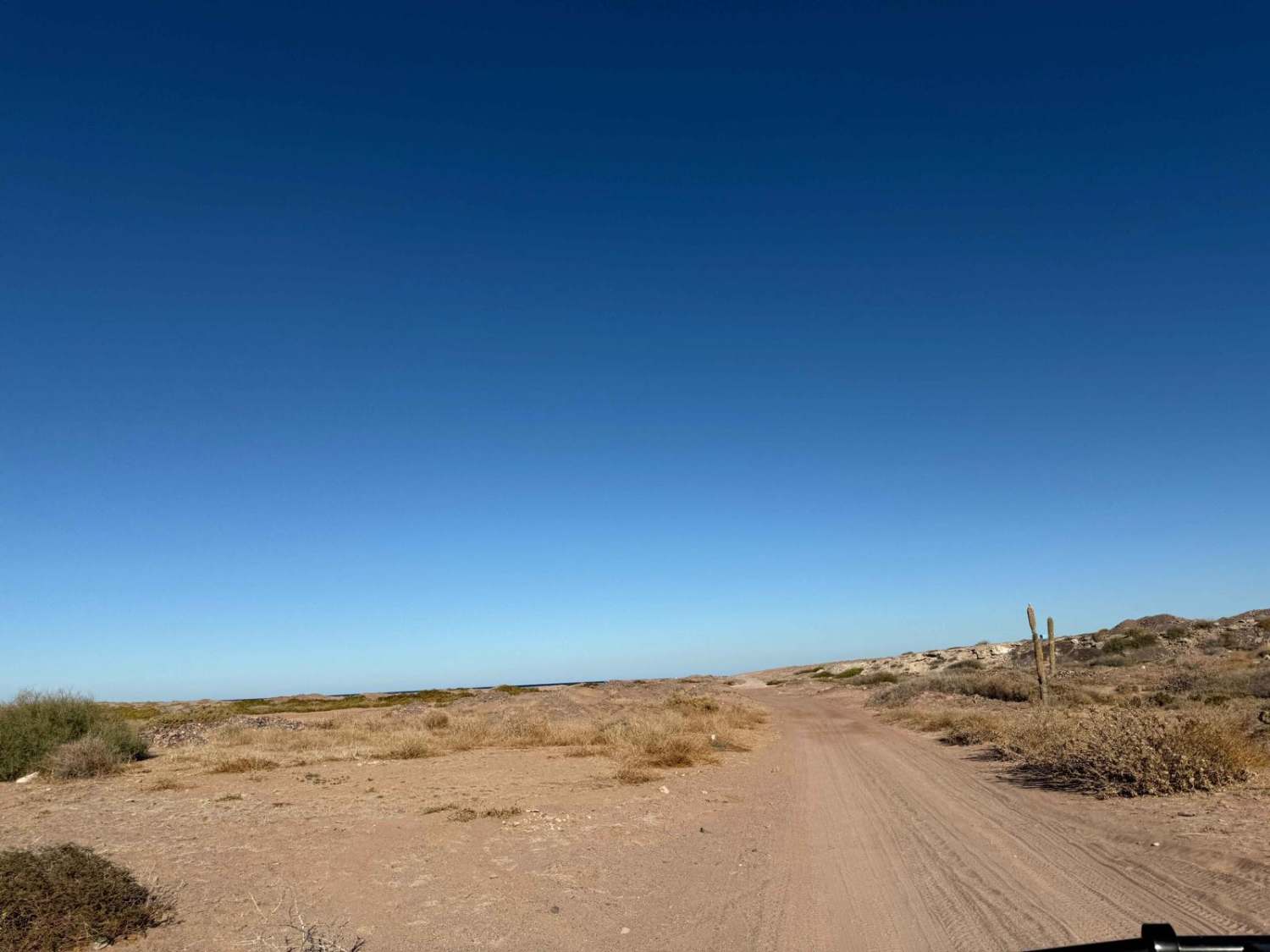 Junto a la Bahia de la Paz