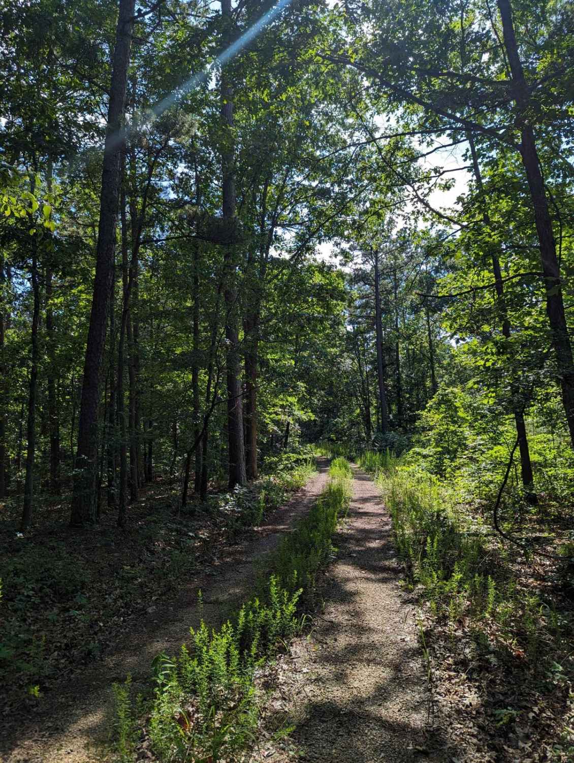 East Kelly Ridge