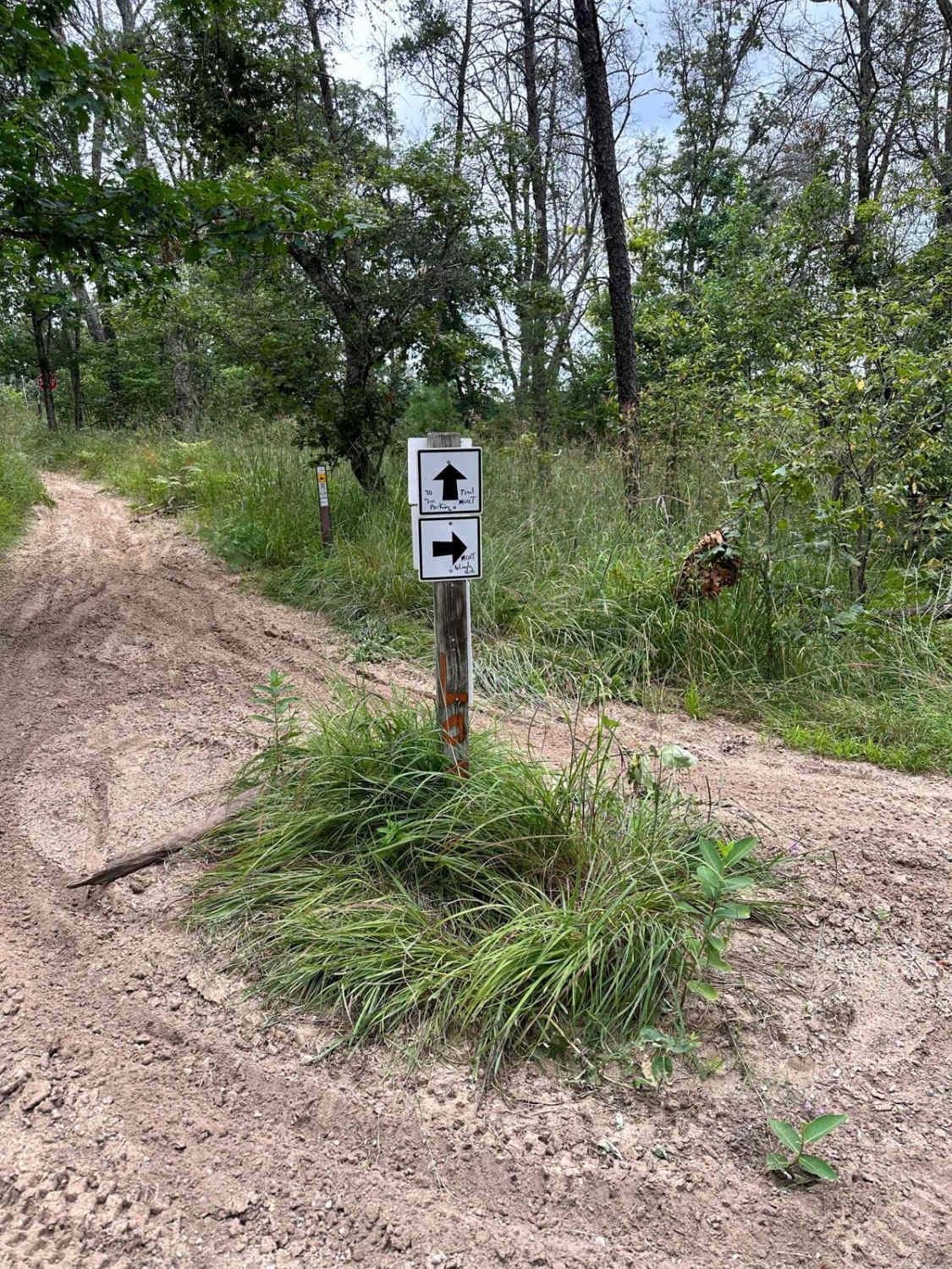 N/E Little Manistee Motorcycle Trail