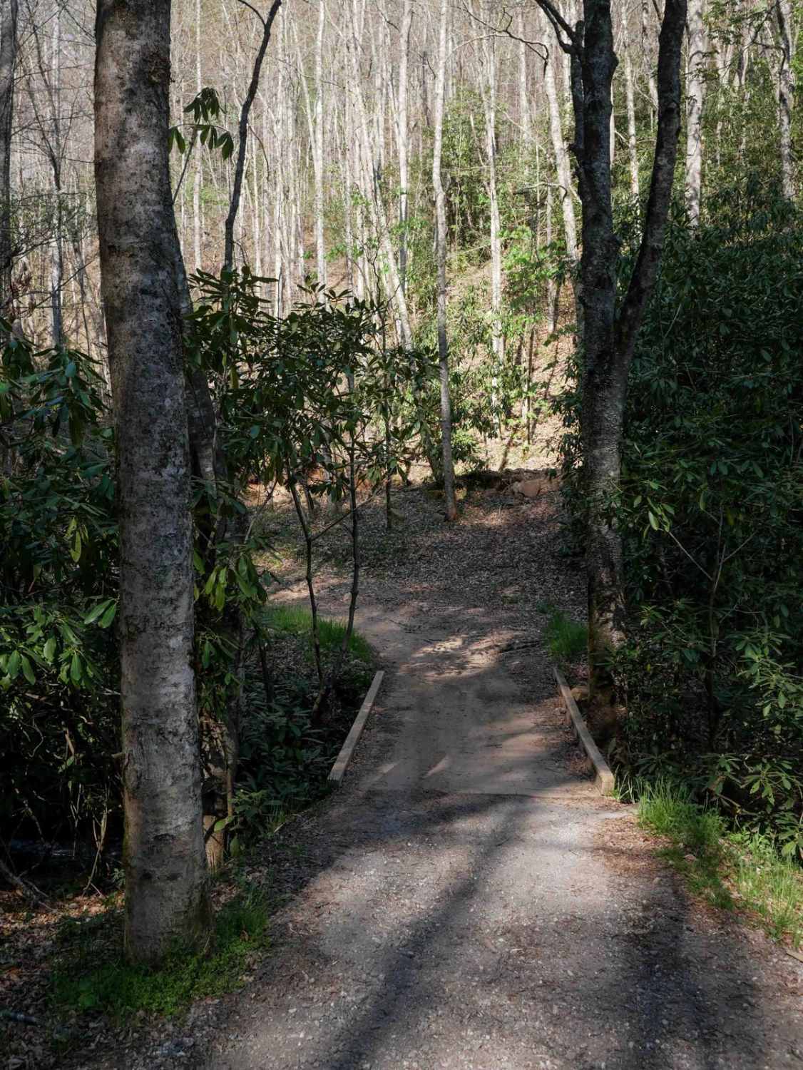 Hemlock Ridge Trail 7