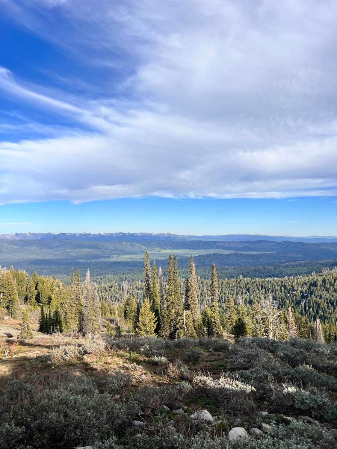 Forest Service Road 446