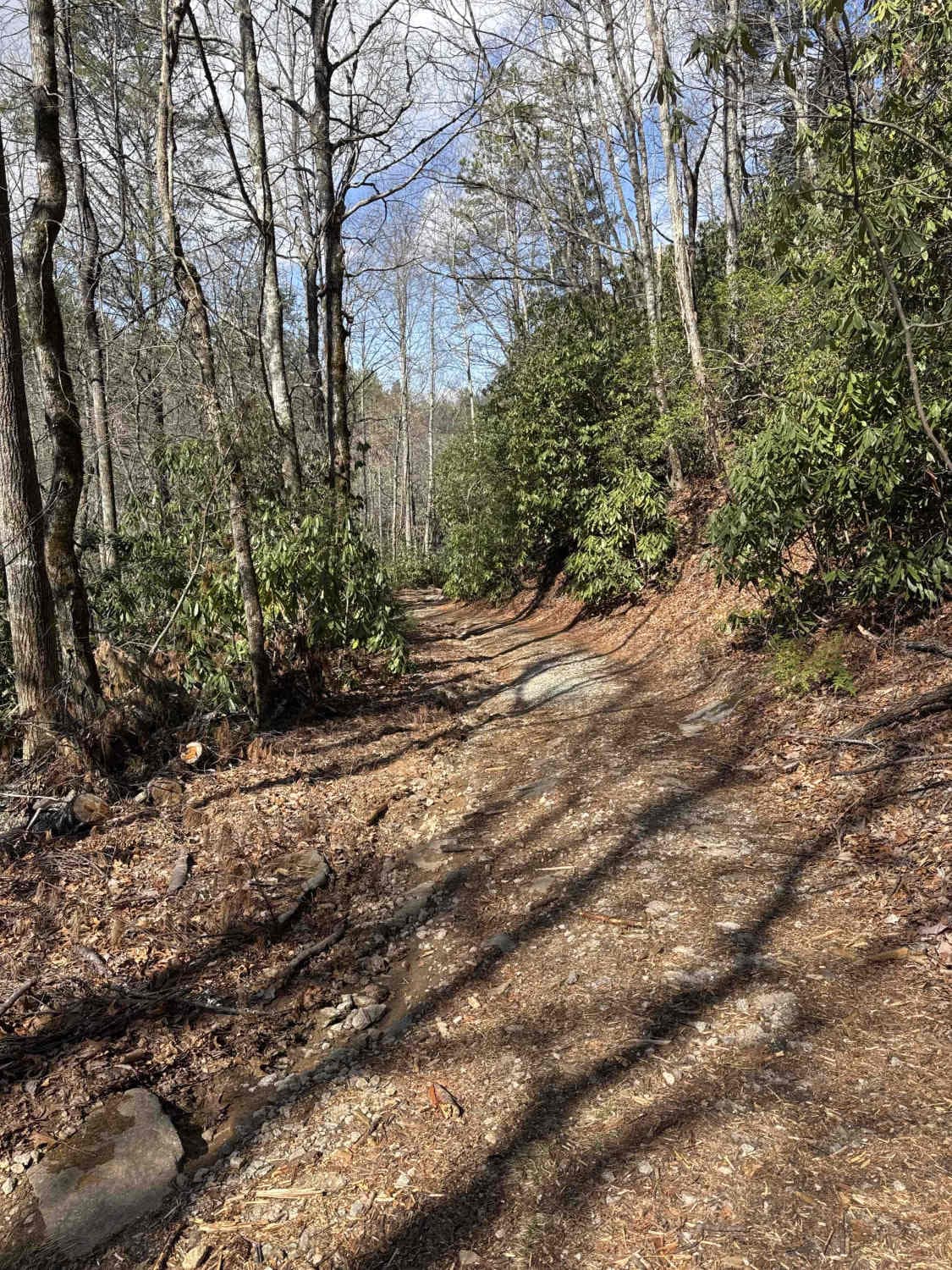 Darnell Creek - FR 150