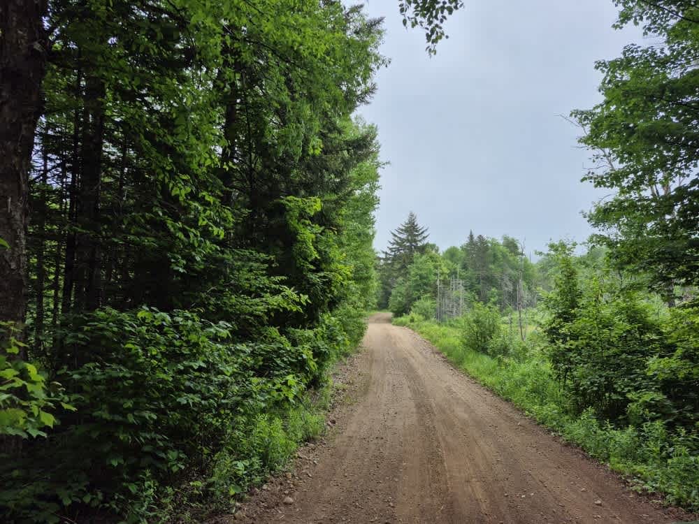 Fly Creek Road