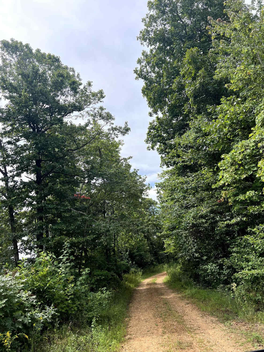 Walnut Ridge Connector