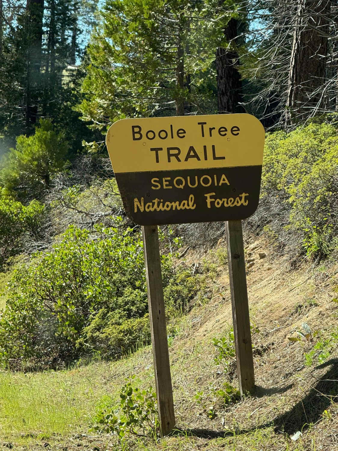 Boole Tree Trailhead