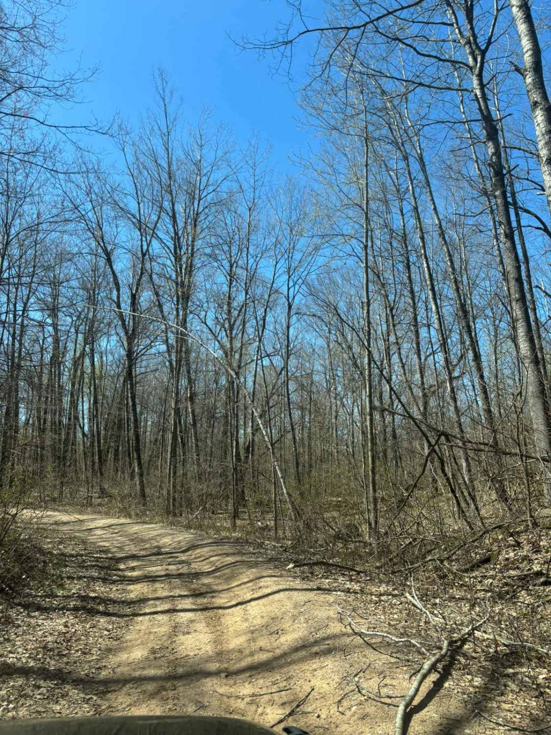 Forest Road 2267