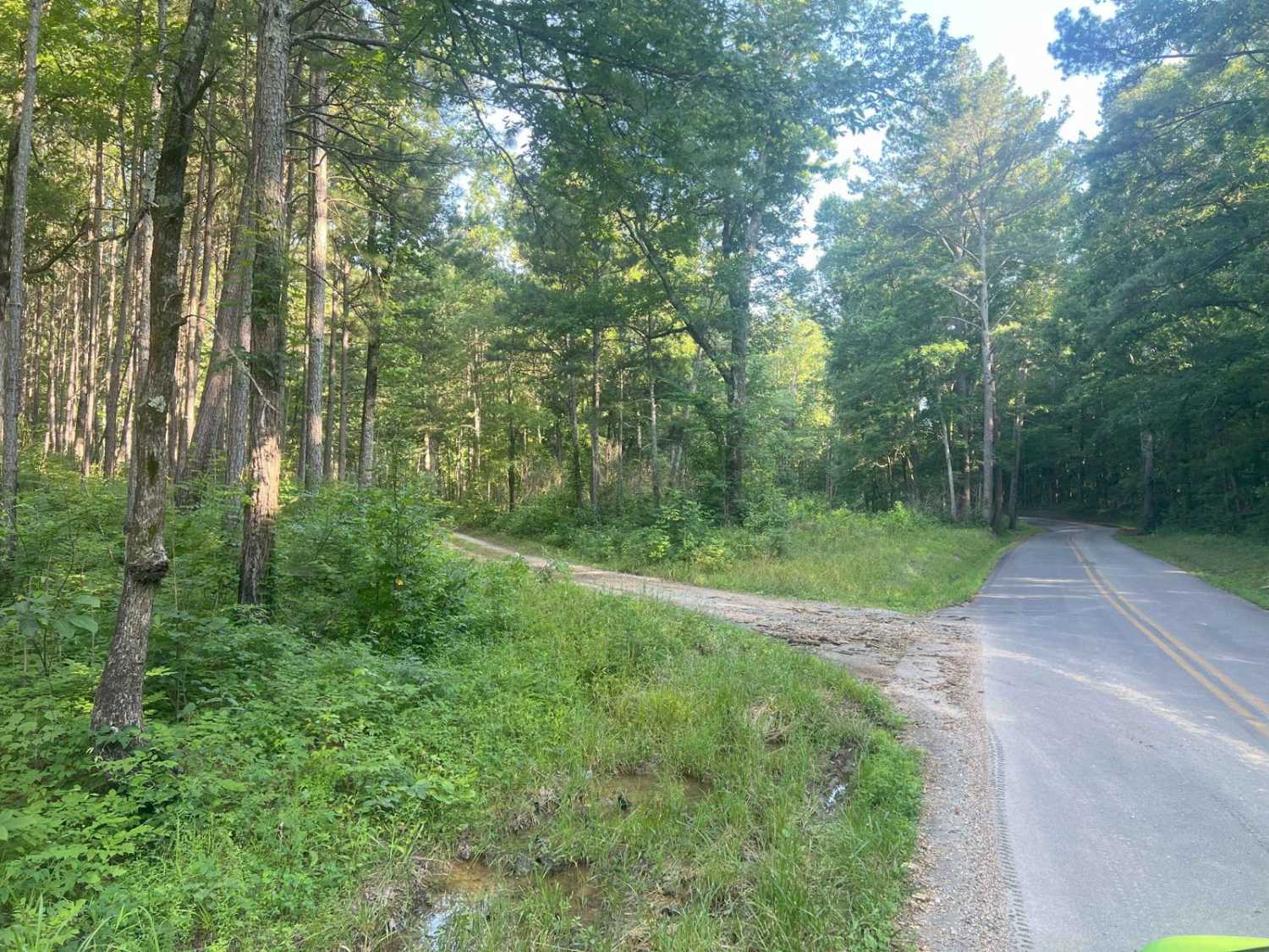 Mount Joy - Forest Road 216
