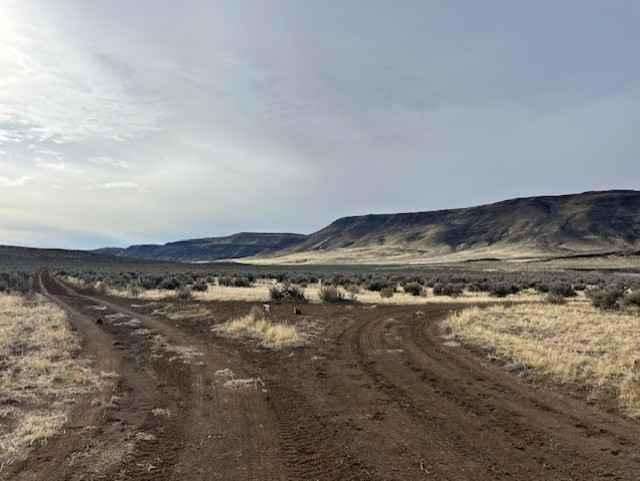 Jackrabbit Run