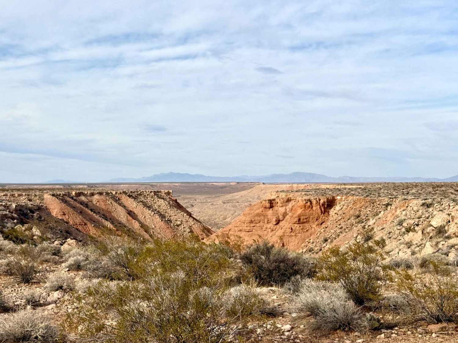 Joshua Trees and Cliffsides