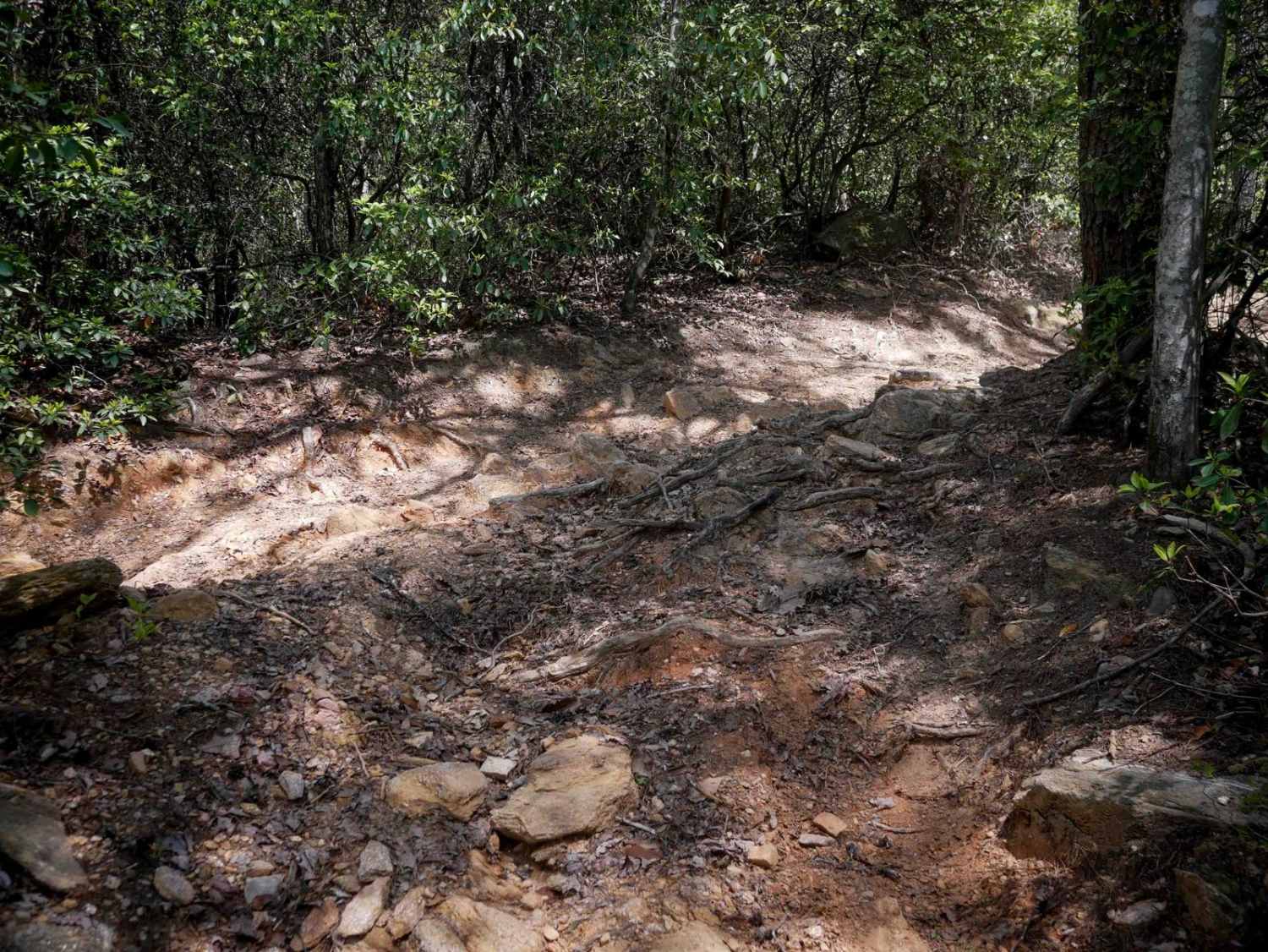 Ridge Top Trail C