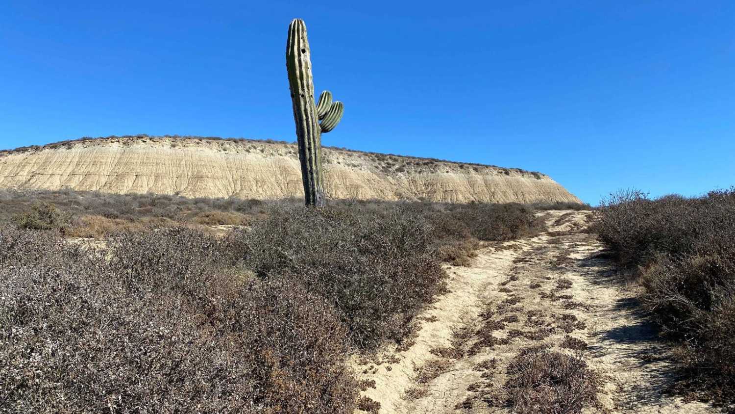 Mesa Redondo