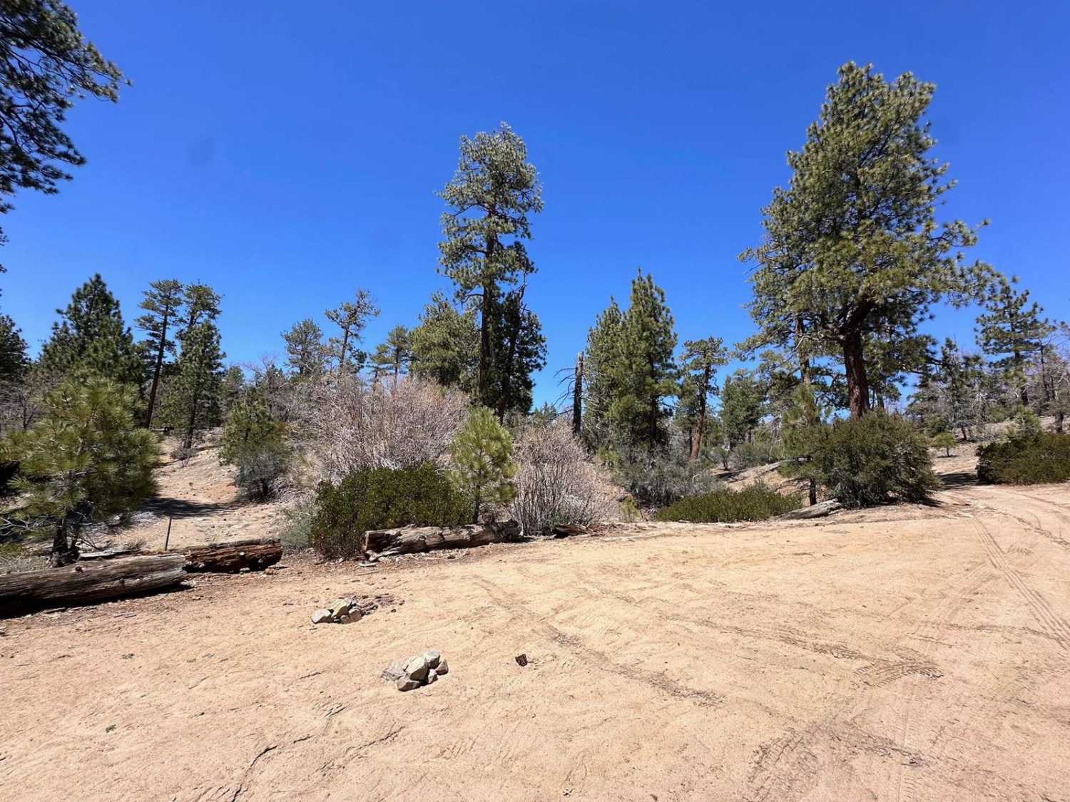 Little Bear Spring - 2N84