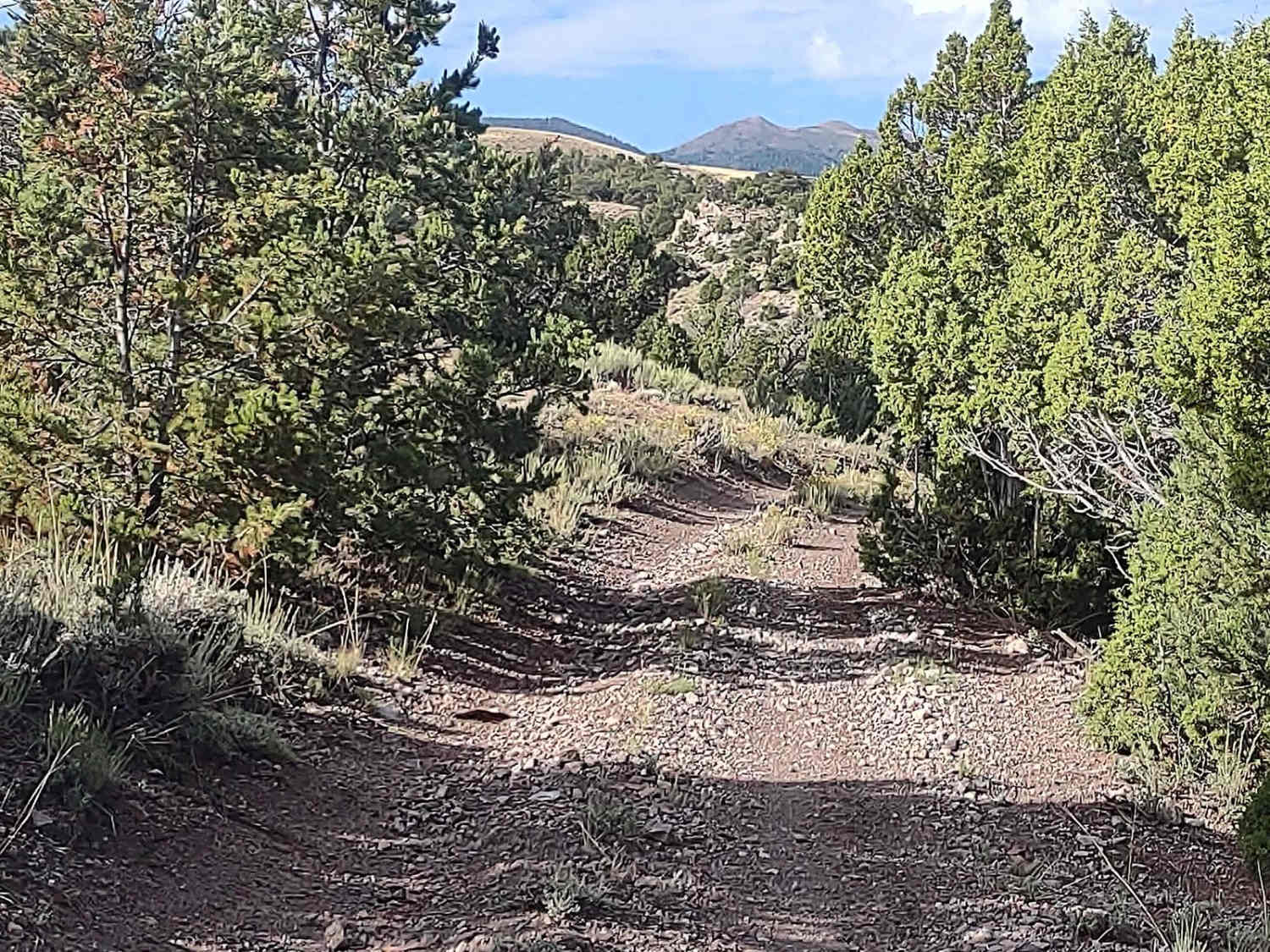Revenue Gulch to Rainbow Road