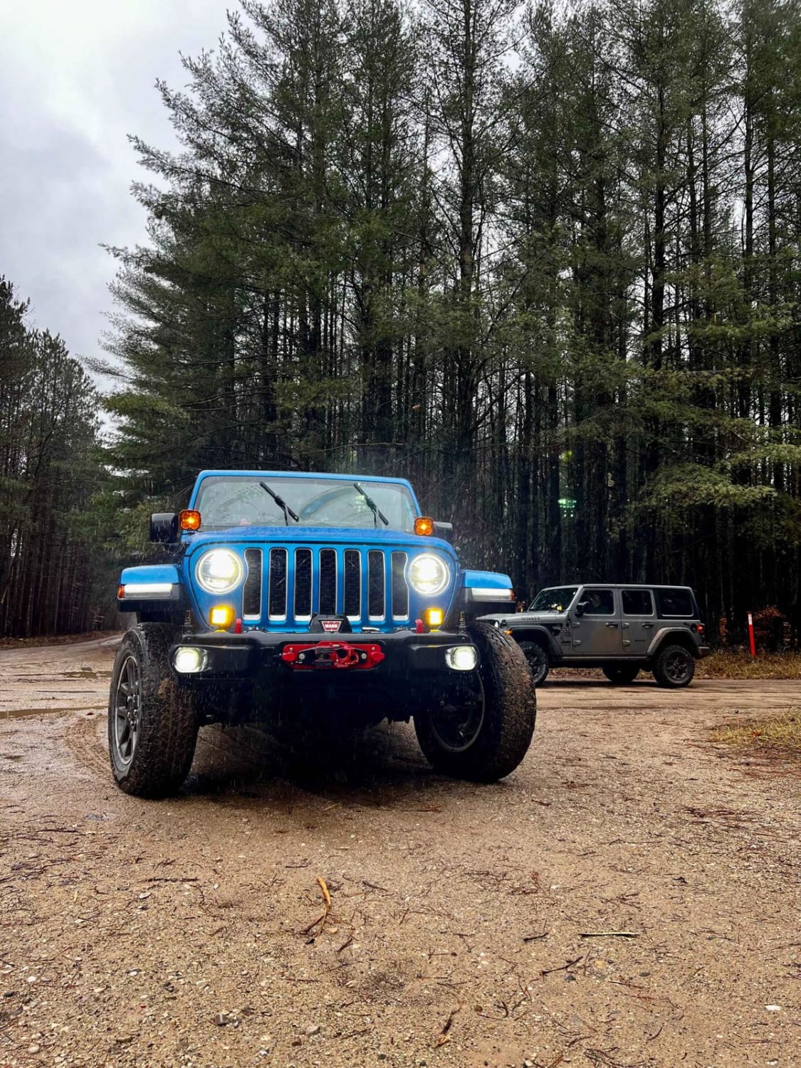 Mena Creek Trail (NFS 9573)