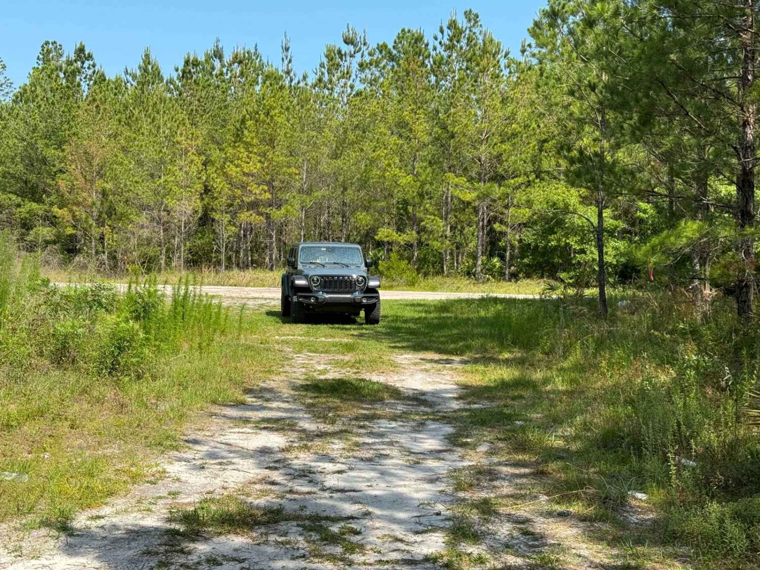 Grove Park WMA East Trail