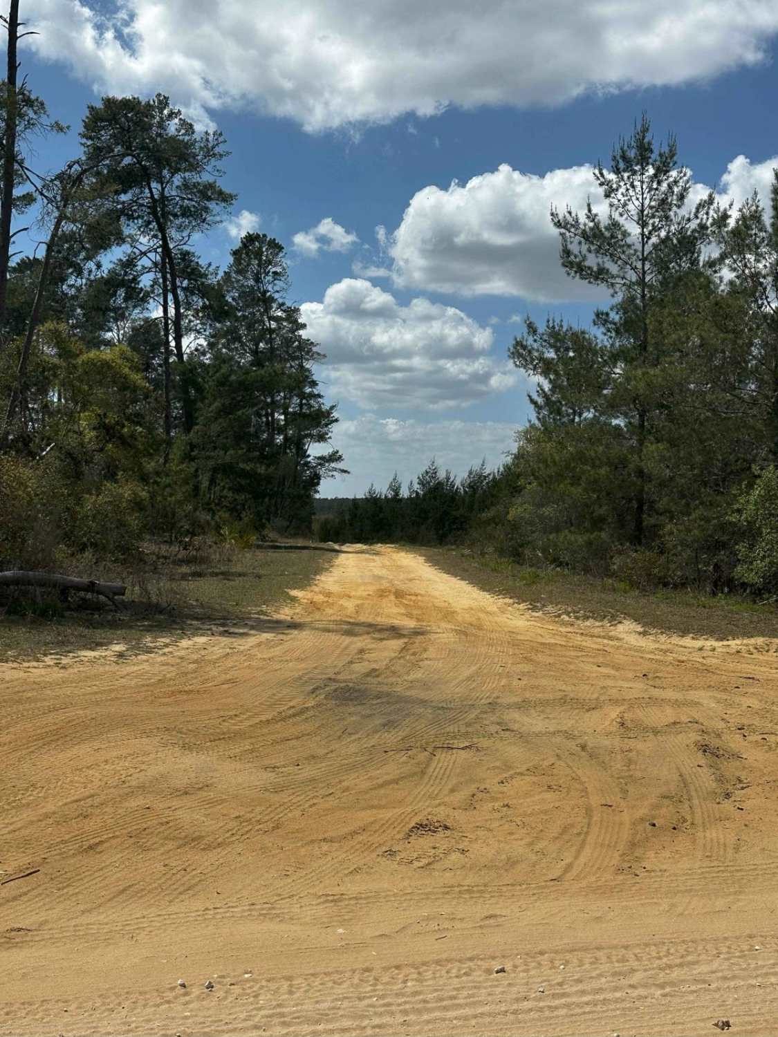ONF Trail 5-9.0