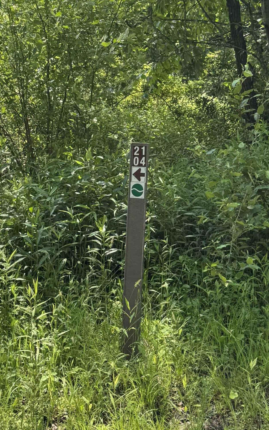 2104 Green