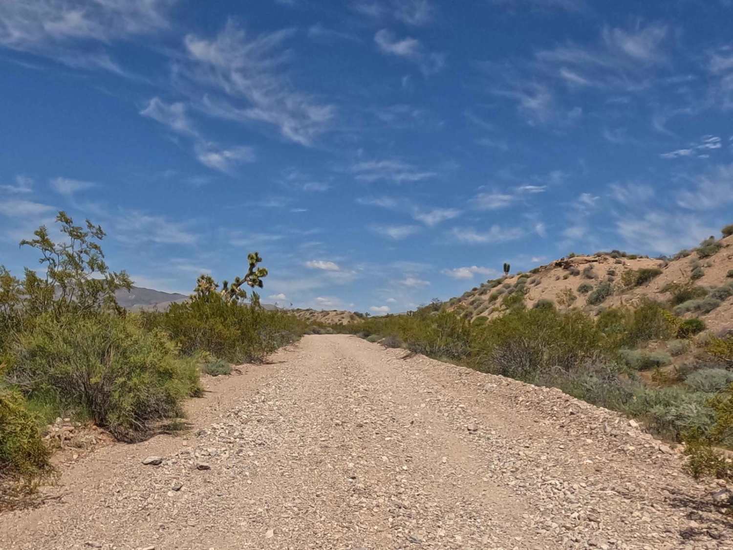 Old Mormon Wagon Trail (East)