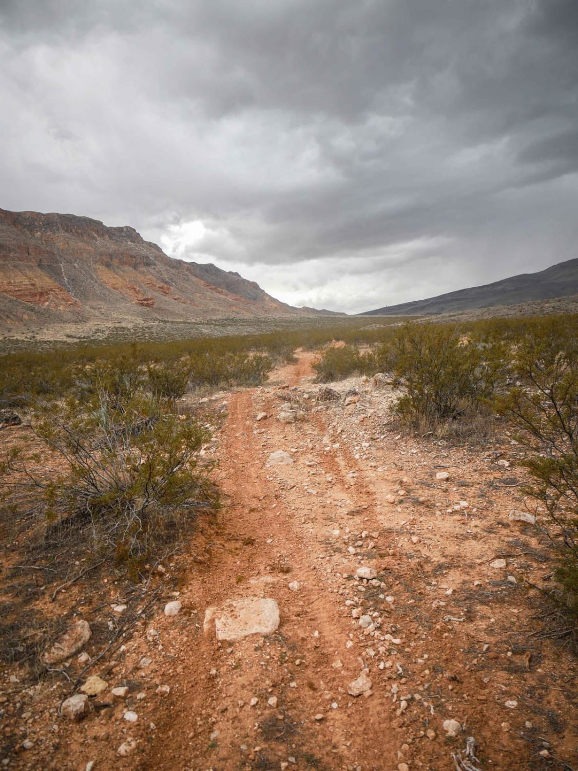 2055 Single Track 
