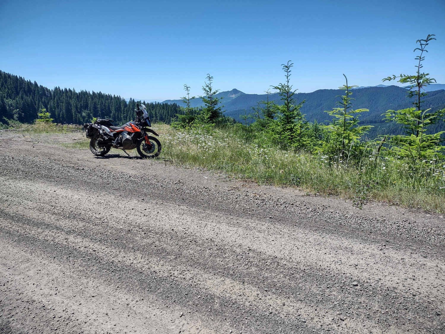 Moose Mountain- FS 2027