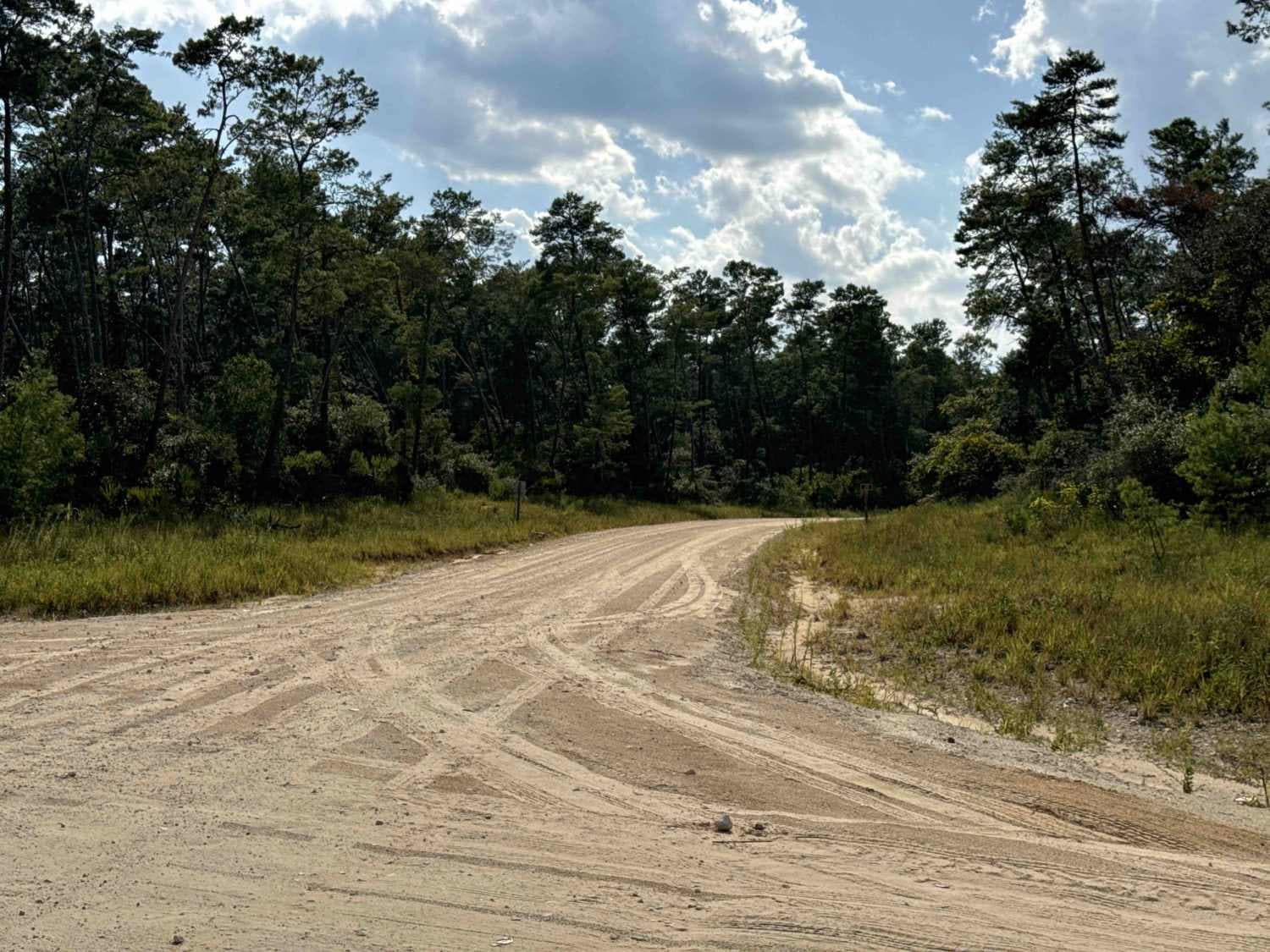 Volusia Trail - ONF 22