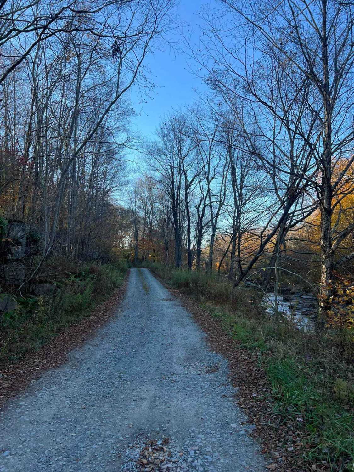 Plank Road