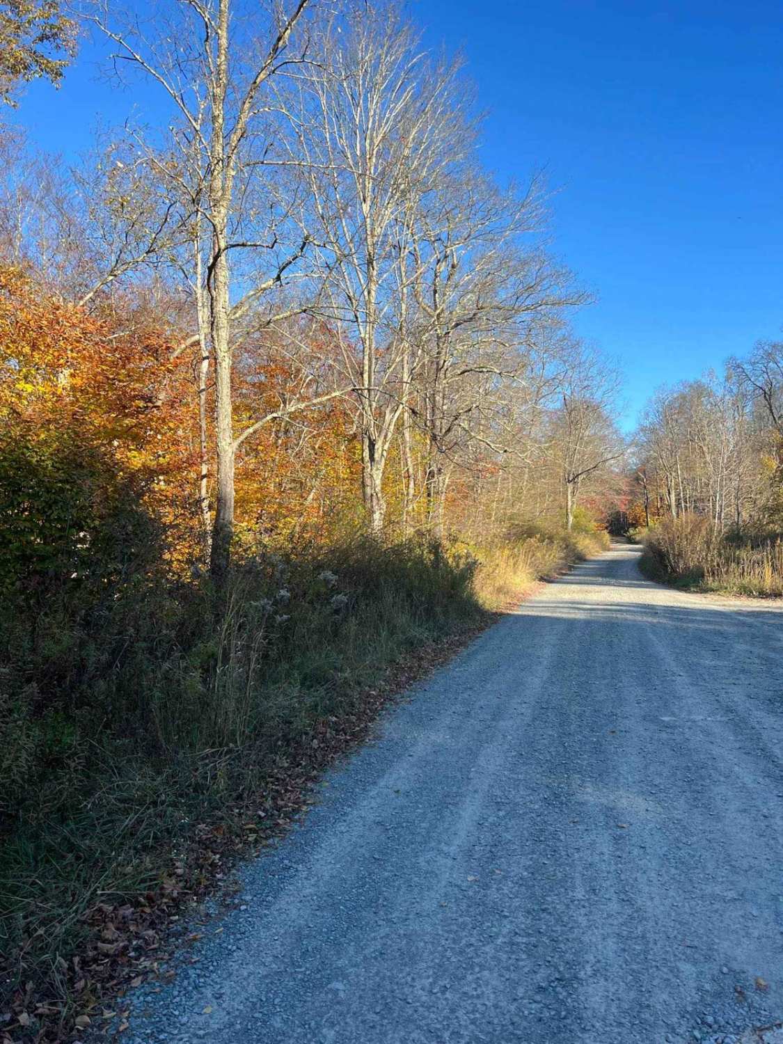 Plank Road