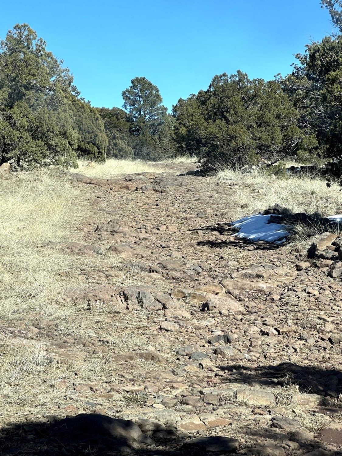 Mongollon Mesa Trail (9D)