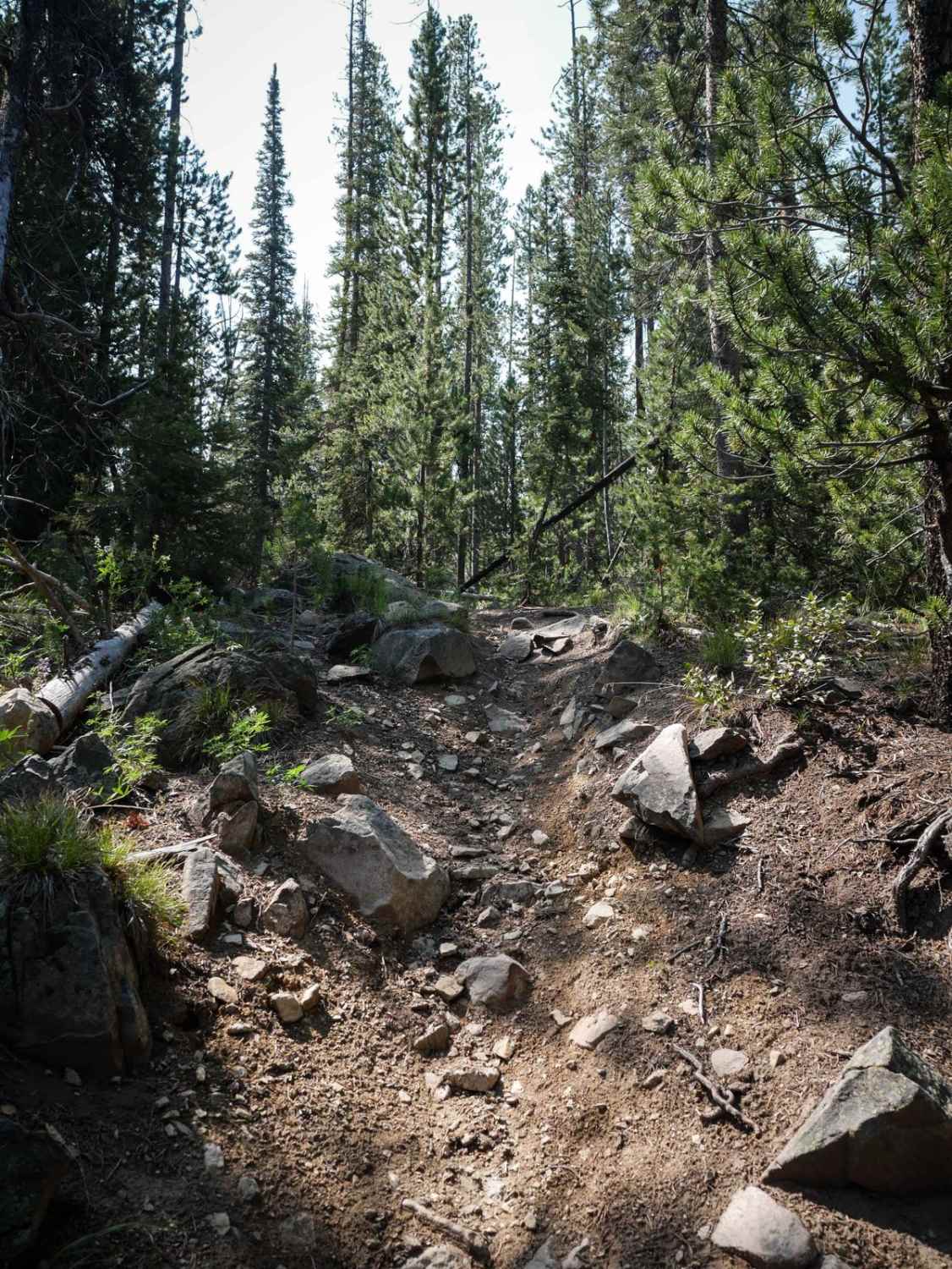 Buster Lake ATV 